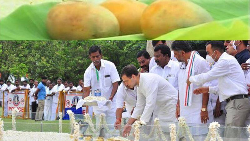 Rahul worshiped with 3 mangoes at Rajiv Gandhi memorial.. Do you know the reason?