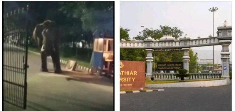 A wild elephant entered the Bharathiar University causing a stir