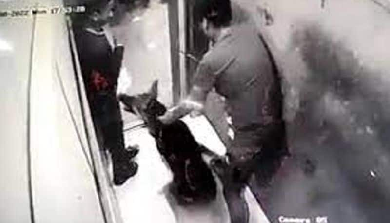 again pet dog attack in lift video goes viral 