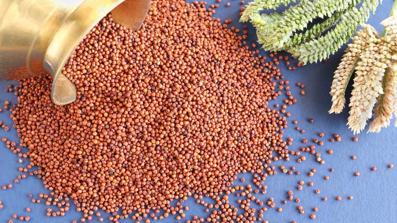 is ragi good for people with diabetes -rse-