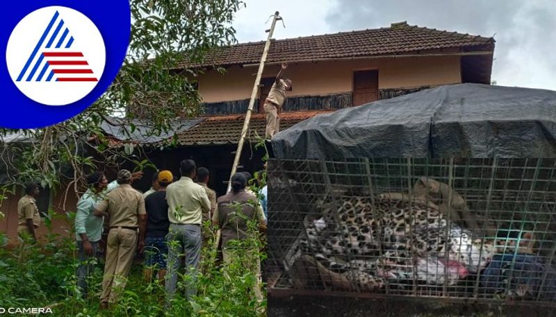 leopard enters house in udupi rescued by forest department gow