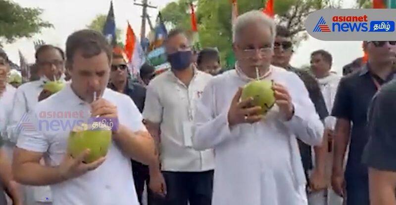 Bharat Jodo Yatra: Rahul Gandhi has seen drinking coconut water