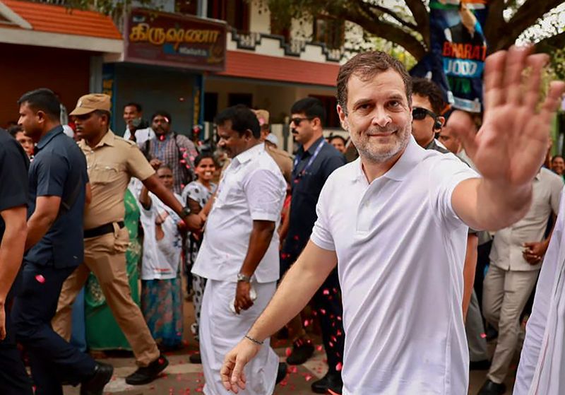 BJP targets Rahul Gandhi for wearing '41K Tshirt'; Congress hit back - adt 