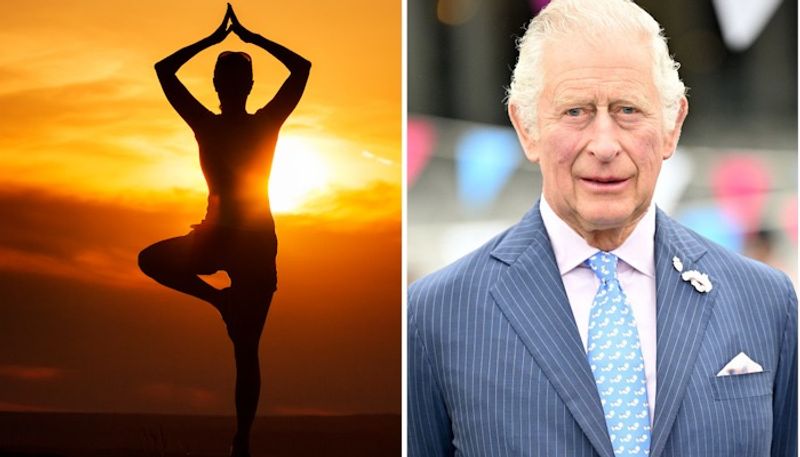 King Charles III: The monarch who 'loves India' and believes in healing power of Yoga, Ayurveda snt