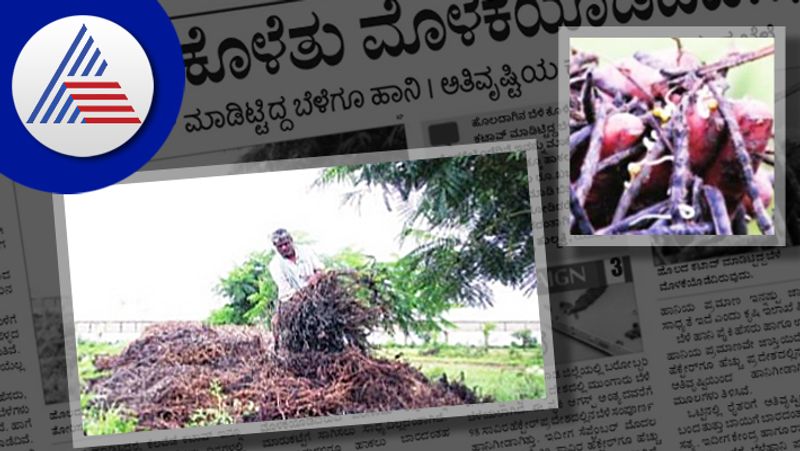 Hubballi floods all  crops have rotted in the water and sprouted rav