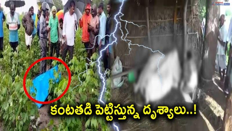 woman and a bull dies of thunder strike in erstwhile karimnagar district..!