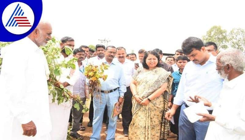 Farmers Faces Problems Due to Heavy Rain in Yadgir grg