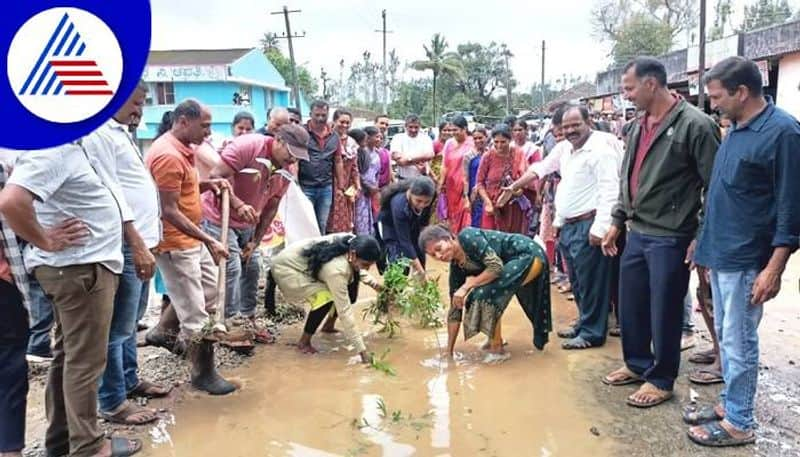 Women Protested by Planting Trees on the Road Demanding Road Repair in Chikkamagaluru grg