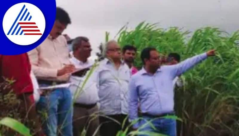 Belagavi Floods  Central study team inspects flood hit areas at belagavi rav