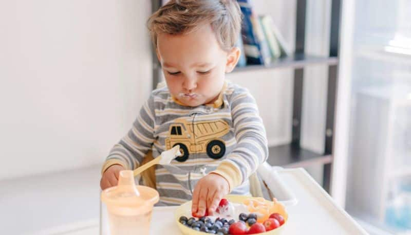 5 Foods that are Essential For Children above 2 Years