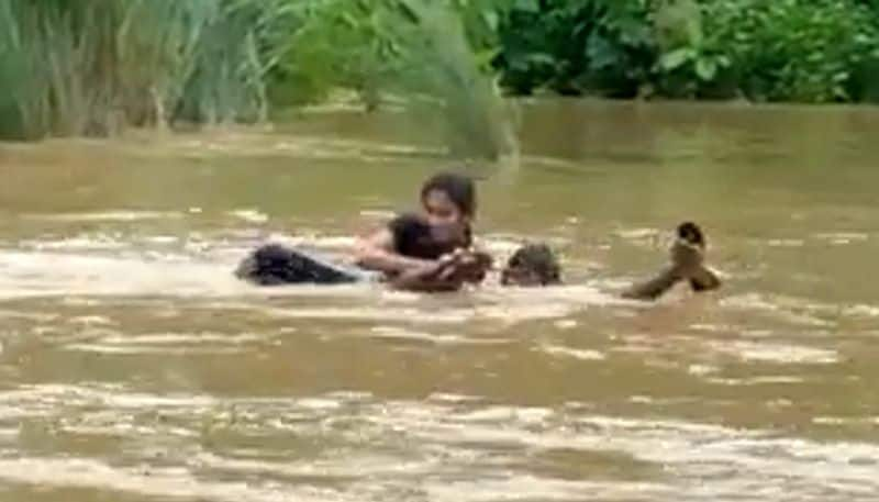 Woman swims across overflowing river to attend exam in Andhra Pradesh: watch video - gps