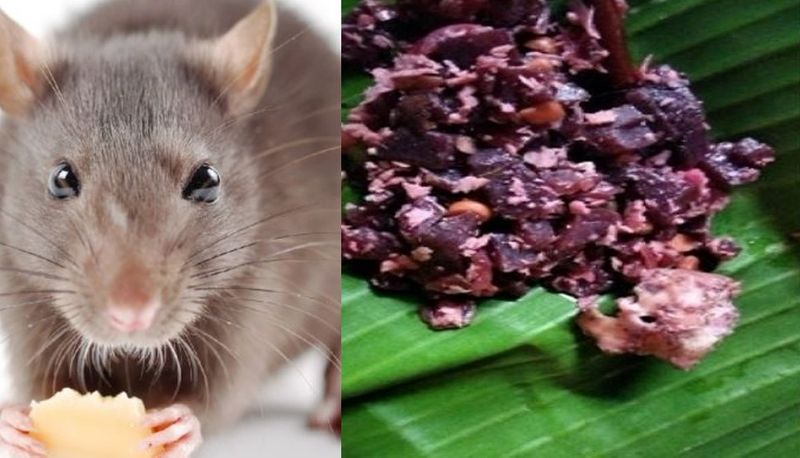 Rat head found in beetroot fry in tamilnadu Restaurant, complaint lodged akb