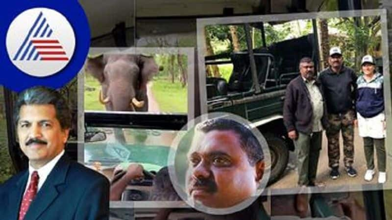 best bolero driver in the world anand mahindra after man dodges chasing elephant viral video ash 