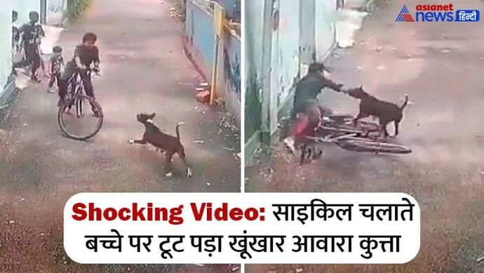 साइकिल चला रहे बच्चे पर ऐसे झपटा आवारा कुत्ता कि CCTV देखकर लोग कांप उठे, कइयों पर अटैक कर चुका था पहले