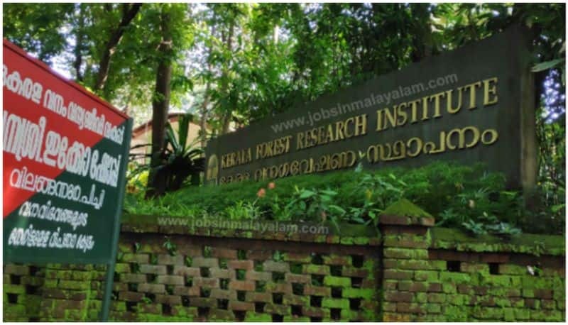 job opportunities in kerala forest research institute