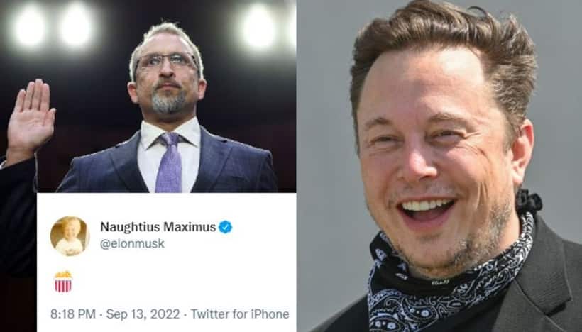 Elon Musk enjoys 'popcorn' time as whistleblower 'exposes' Twitter's security lapses