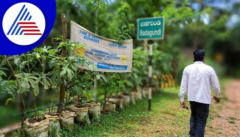 Organic farming is rampant on both sides of the national highway at bantwal gvd