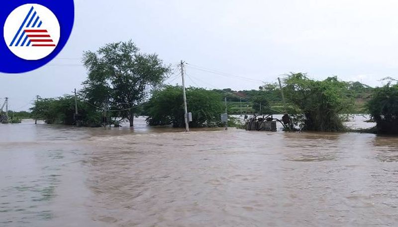 Farmers Faces Problems For Crop Loss due to Heavy Rain in Ballari grg