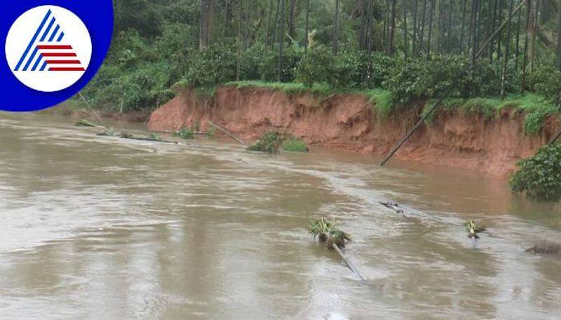 Farmer Faces Problems Due to Japavati River Flood in Chikkamagaluru grg