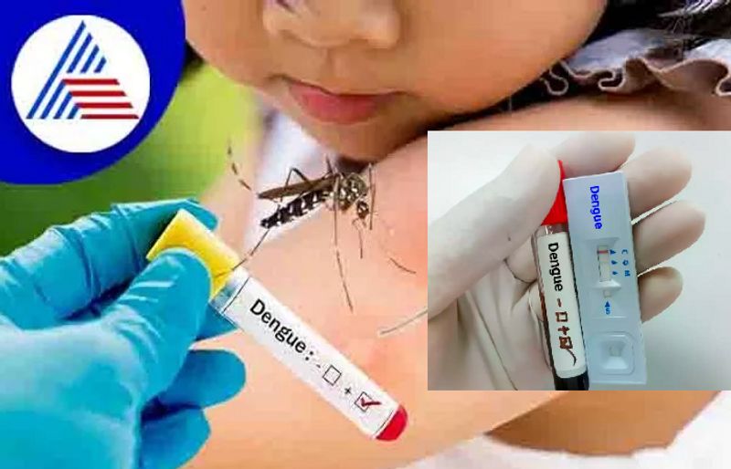 First Dengue Vaccine In India: Phase One Clinical Trial Gets Approvals Vin