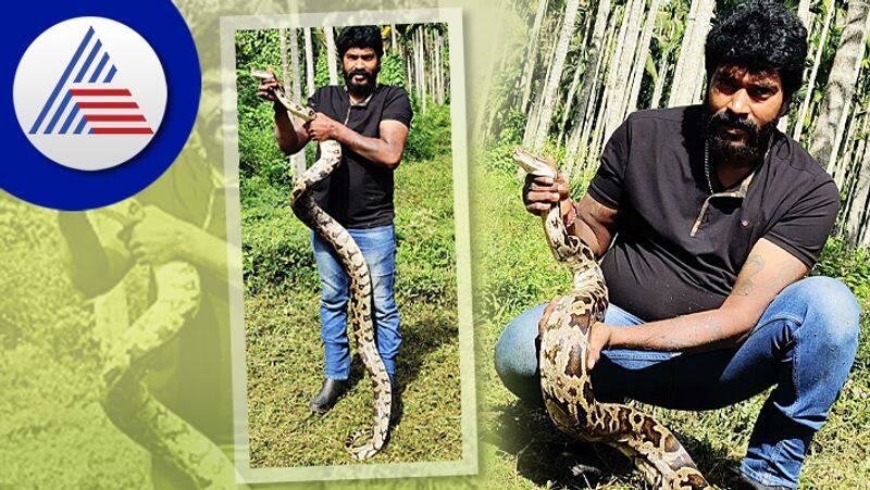 Snake Kiran Catch Python in Shivamogga grg