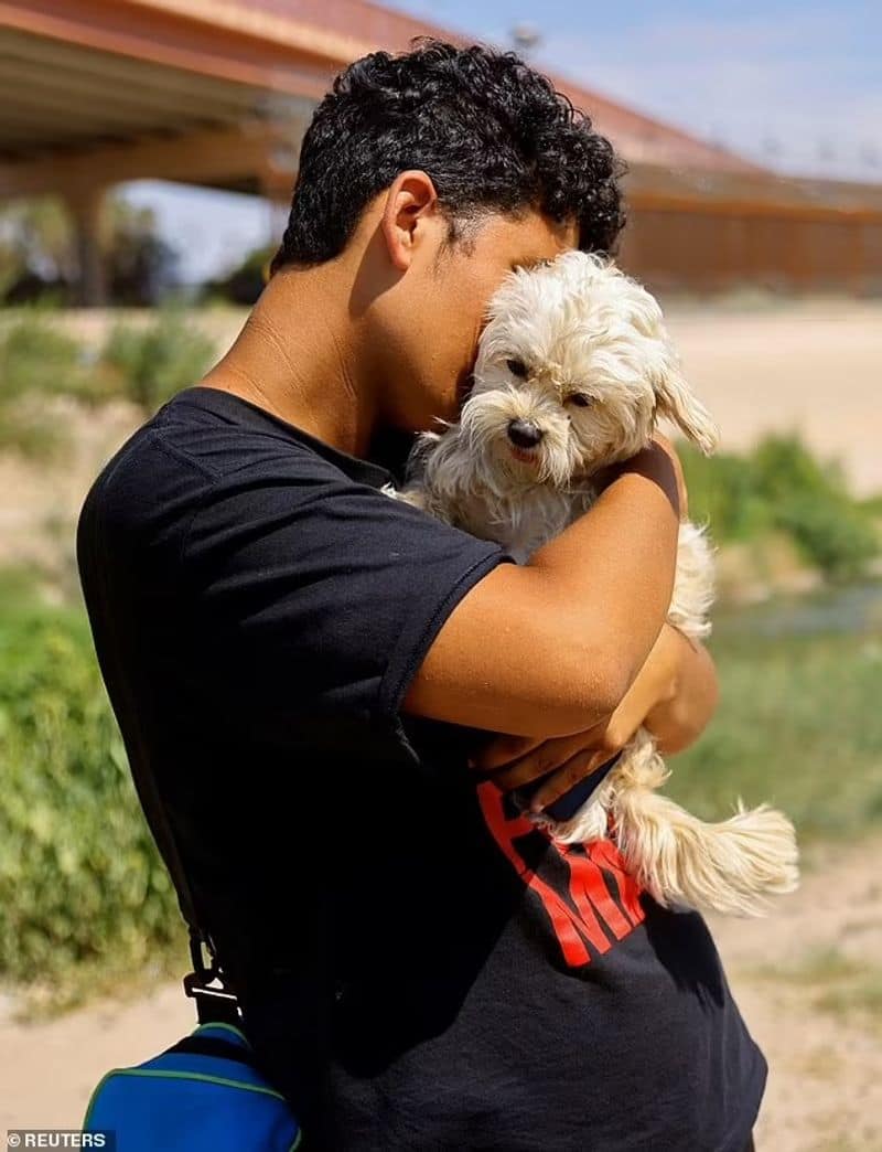 Netizens capture migrant giving emotional send off to pet dog as he crosses border