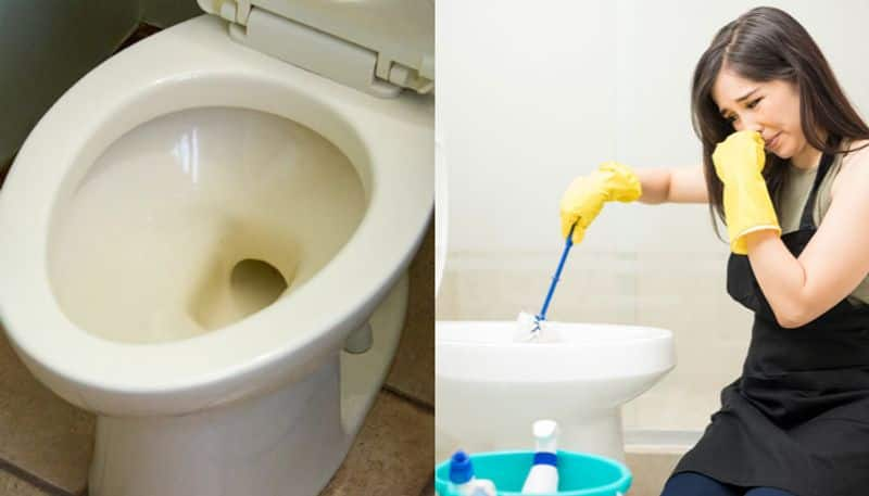 Easy Toilet Cleaning Tips After deepavali Festivities gow