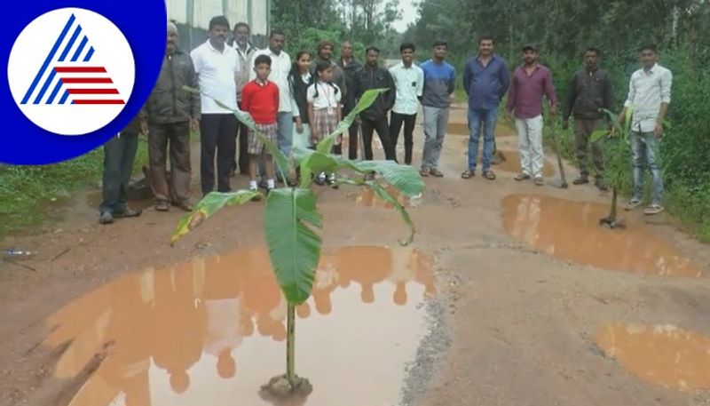 students  plants banana tree in pothole to protest road condition in Chikkamagaluru gow