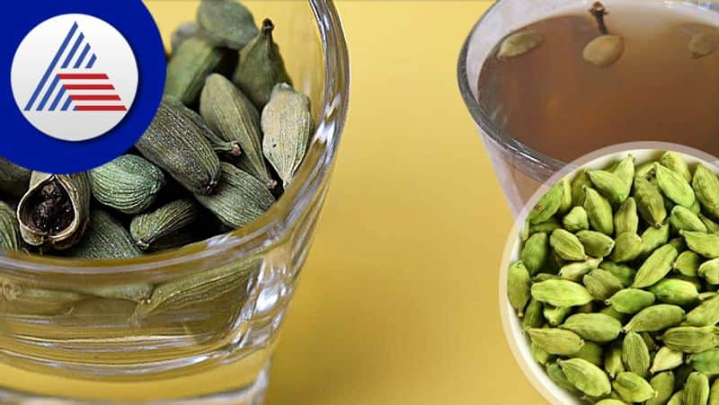 Drink Cardamom Water On An Empty Stomach For These 4 Health Benefits