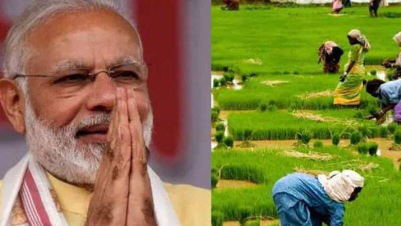 PM Modi cabinet approved the Minimum Support Price on 14 Kharif crops mrq