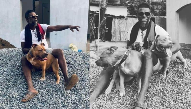 actor vinayakan share photo with  his pet dog 