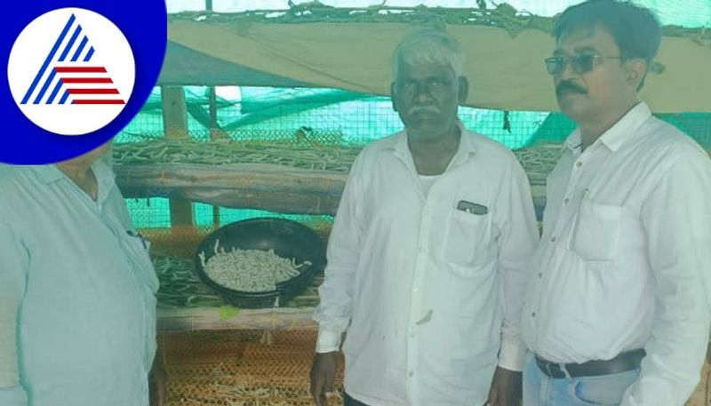 Yadagiri Sericulture farmers losses gow