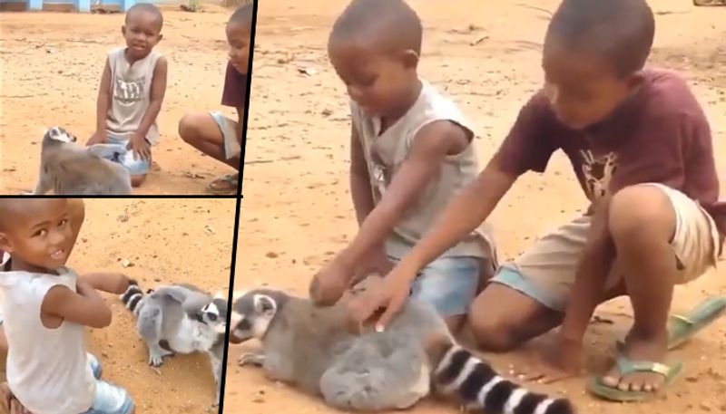 Lemur requests two boys to scratch its back; Anand Mahindra shared viral video - gps