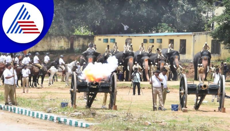 Mysuru Dasara Elephants Undergo Second Round Of Cannon Firing Drills In Outside The Palace Boundary Exhibition Grounds gvd