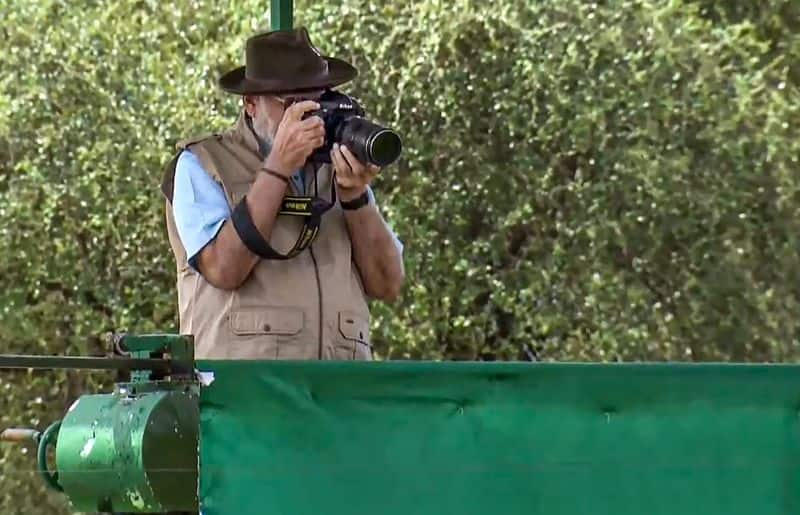 8 Cheetahs walk on Indian soil again: PM Modi releases the big cats in Kuno National Park on his birthday snt