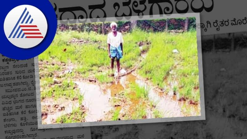 heavy rain Crop crop destroyed Farmers problems in haveri rav