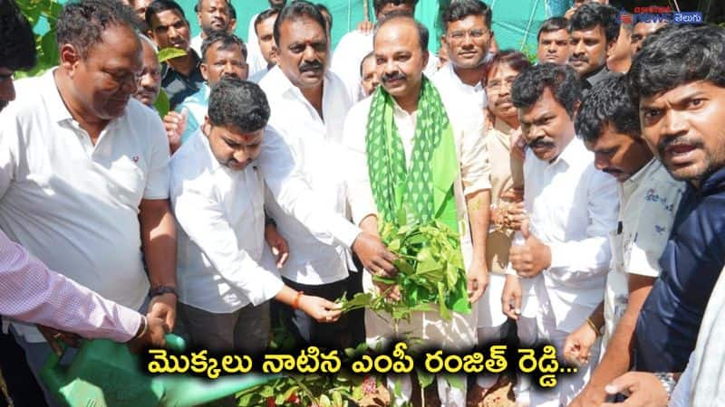 Chevella MP Ranjith Reddy Plant Sapling in jubileehils park