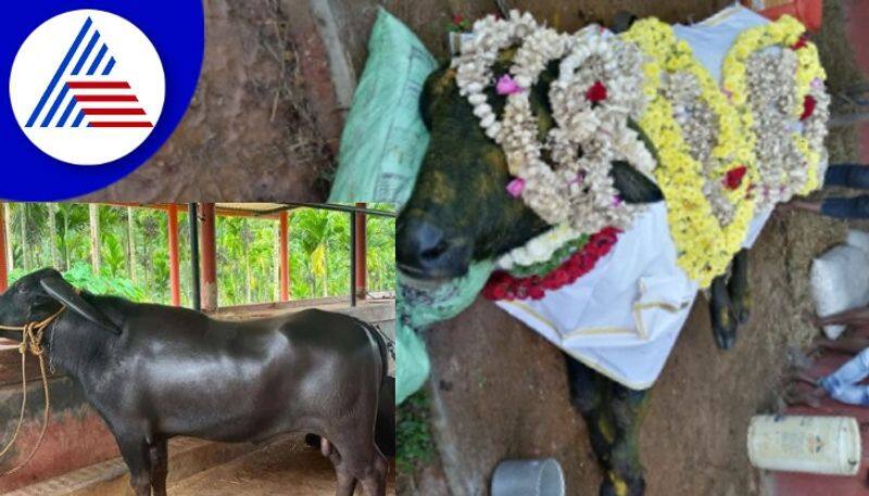 Tennaru mode kona death  People flocked to the funera udupi rav