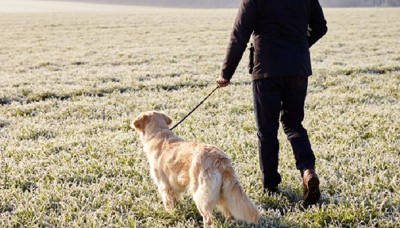 man attacked with dog over suspecting as thief in nellore