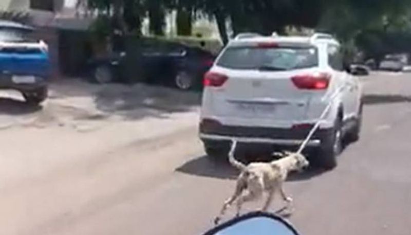 Doctor drag a dog in car in Jodhpur  