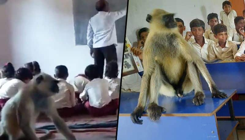 Monkey attends class with Govt school students in Jharkhand - gps