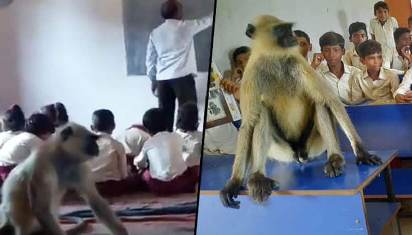 Watch: Monkey attends class with Govt school students in Jharkhand