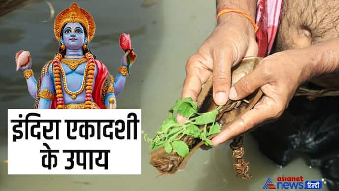 Indira Ekadashi Upay: इंदिरा एकादशी पर करें इन 4 में से कोई 1 उपाय, विष्णुजी के साथ पितृ भी होंगे प्रसन्न