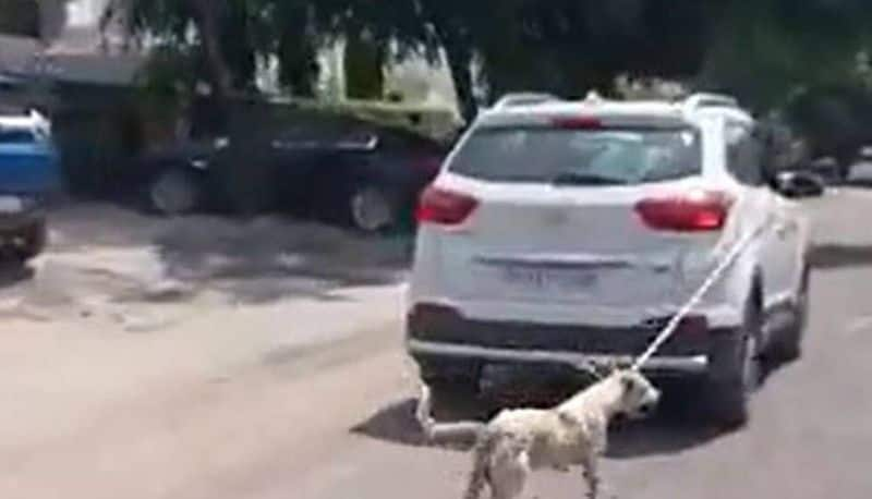 doctor booked for allegedly tying a stray dog to his car and dragging it along the road akb