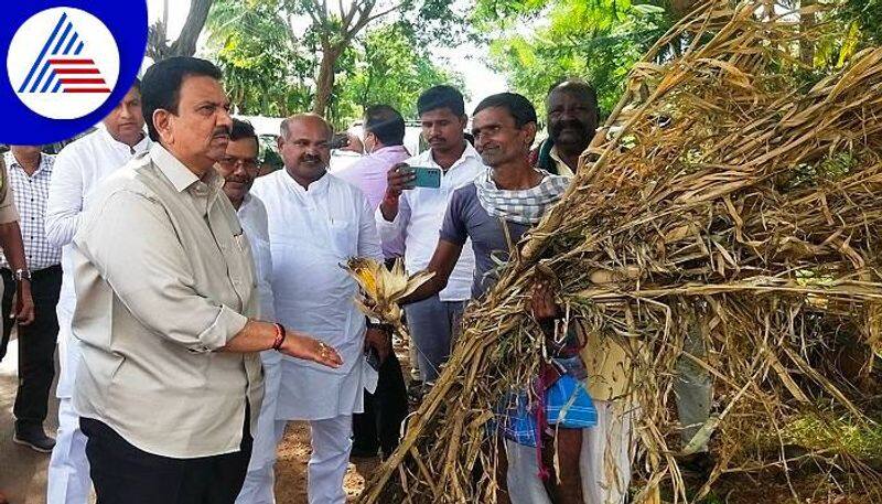 Crop and House Damage Compensation Due to Heavy Rain in Bagalkot Says CC Patil grg