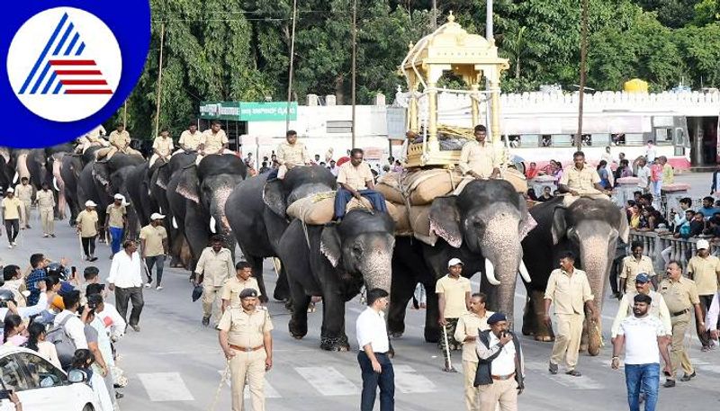 Reels photos not allowed with Jumbo Savari Elephants during Mysuru Dasara 2024 grg 