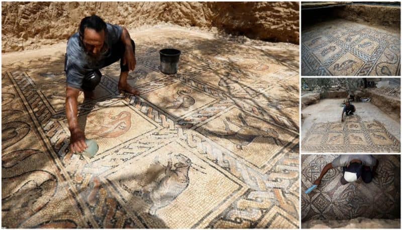 Ornate Byzantine floor mosaic discovered in gaza strip 