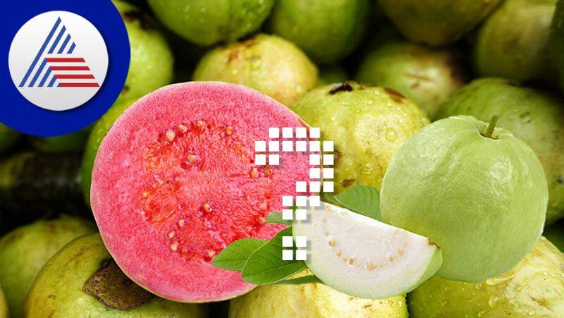 White Or Pink Guava, Which Is Healthier Vin