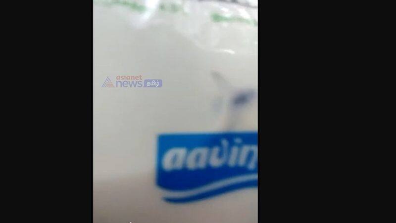 A fly in the dead state of Aavin milk pocket: Public shocked.!!