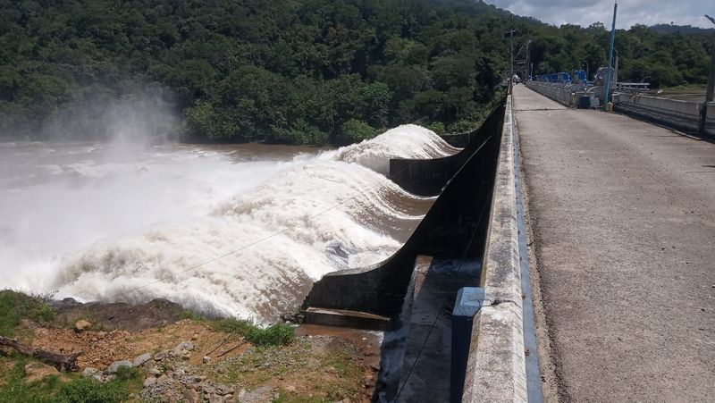 Kerala: Heavy rainfall prompts Sholayar dam opening, alert sounded in Chalakudy river region dmn